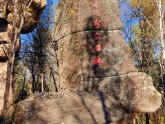 -汤旺河林海奇石景区