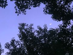 -沈记青团