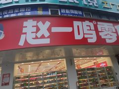 -赵一鸣零食(广东佛山大沥镇嘉洲店)