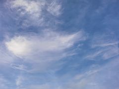 -武陵山森林公园