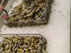 -加尔森烤肉海鲜·火锅烧烤自助