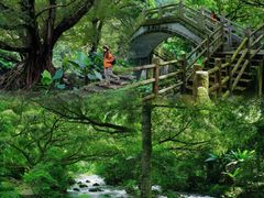 -广州市石门国家森林公园