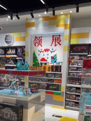-乐高授权专卖店(中关村领展店)