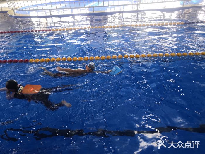 英派斯游泳培训学校(牡丹园校区)图片