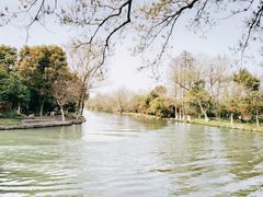 -西溪国家湿地公园