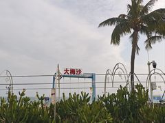 -大梅沙海滨公园