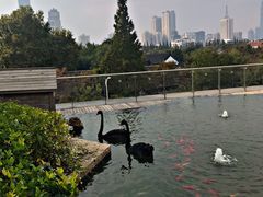 -行者书屋大堂吧 ·下午茶(南京圣和府邸酒店)