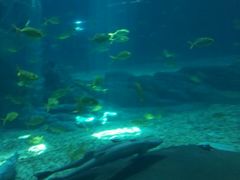 -福州罗源湾海洋世界旅游区