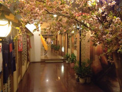 iphone_upload_pic-千鹤日本料理(穿山路店)