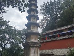 -黔灵山公园