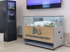 -北京观赏动物医院·24小时大型综合·猫专科·异宠专科