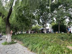 -西湖外事游船(花港观鱼码头)
