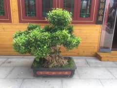 -天津大悲禅院