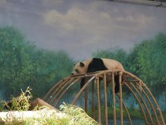 -杭州动物园