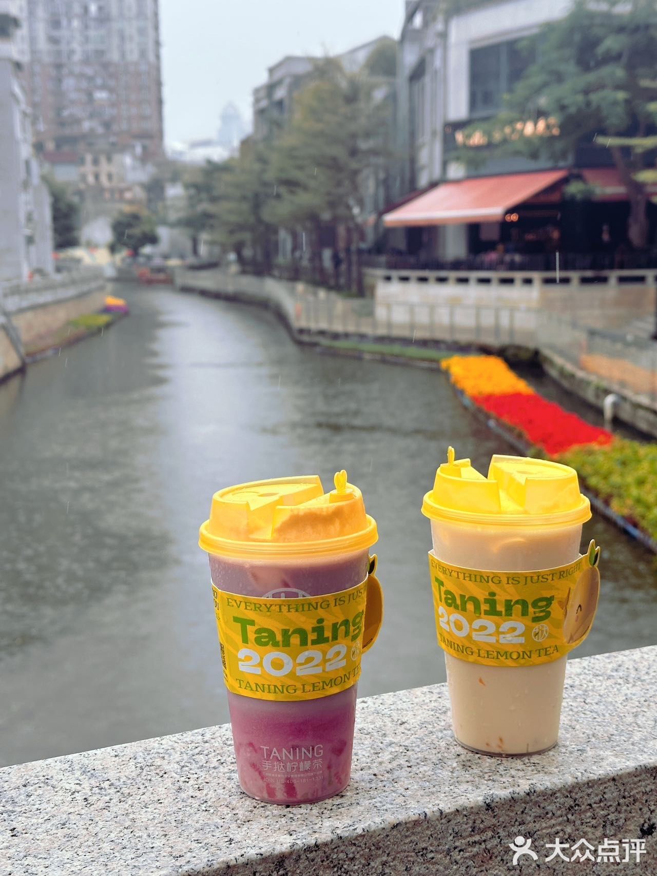 🐑康后的奶茶，不如来一杯维C爆炸的柠檬打奶吧