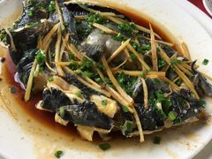 -生态苑农庄(十里画廊遇龙河店)