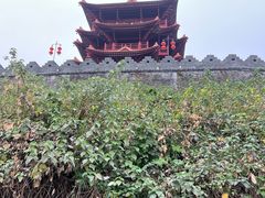 -肇庆古城墙