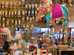 -威勒比开放式动物园