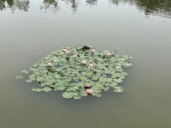-牛岗山公园