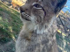 -石家庄市动物园