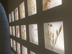 -予厘·推拿按摩·精油SPA(憩舍长安店)