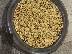 -同喜烤鸭店(光芒店)