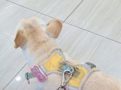 -申普宠物医院·眼科·心内科·影像科(普陀分院)