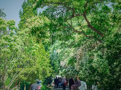 -国家植物园南园