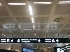 -米兰马尔彭萨国际机场