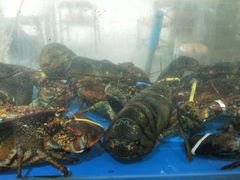 -87号烧烤海鲜·大排档(金沙滩店)