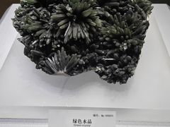 -湖南省地质博物馆