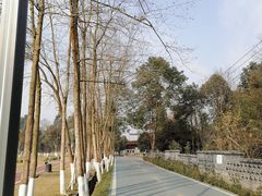 -夏河溪乡野公园
