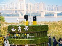 -武汉知音号