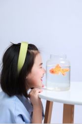 -蜜糖派儿童摄影(青建·太阳岛店)