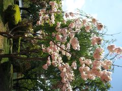 沈阳国旅(铁西广场门市部)-沈阳国旅(铁西广场门市部)