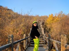 -大岭沟猕猴桃谷风景区