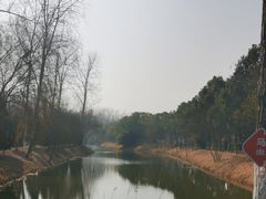 -合肥滨湖国家森林公园