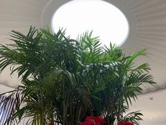 -LANN I 蘭 SPA(陆家嘴中心店)