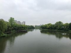 -新江湾城公园