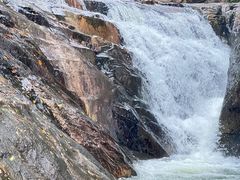 -广州白江湖森林公园