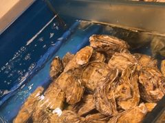 -火舞泰·泰式海鲜火锅餐厅(世纪城店)