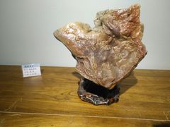-银肯塔拉沙漠生态旅游景区