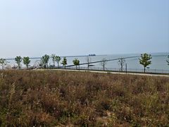 -尚贤河湿地