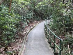 -南丫岛