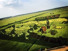 沈阳稻梦空间稻米文化主题公园-稻梦空间