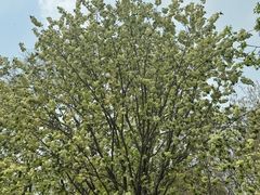 -江南大学(蠡湖校区)