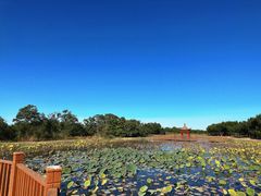 -南大港湿地风景区