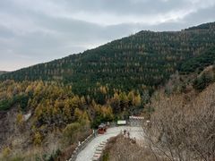 -雁门关景区