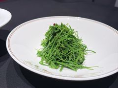 凉拌桑芽-鲁采LU STYLE(新天地店)