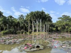 -中国科学院西双版纳热带植物园